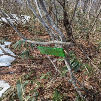 「来た道を帰らにゃあ遭難するぞ!!」
ピストンにしました