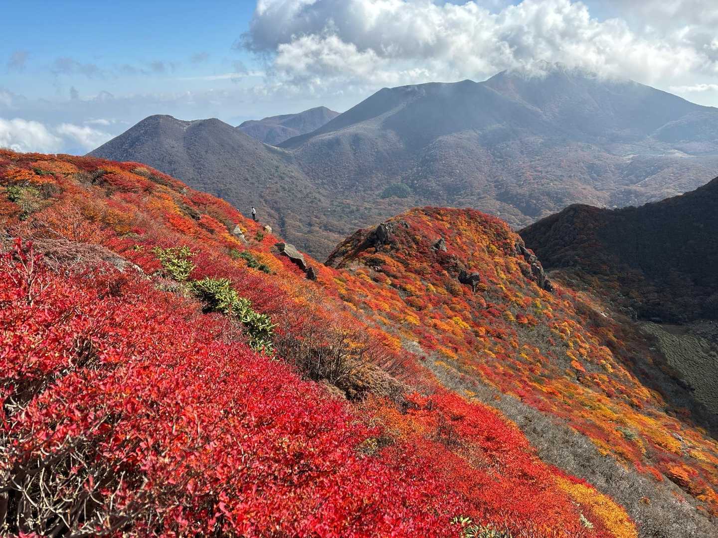 ヨカヨカ🍁