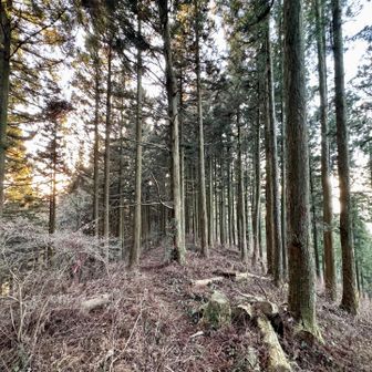 尾根歩き🚶‍♀️