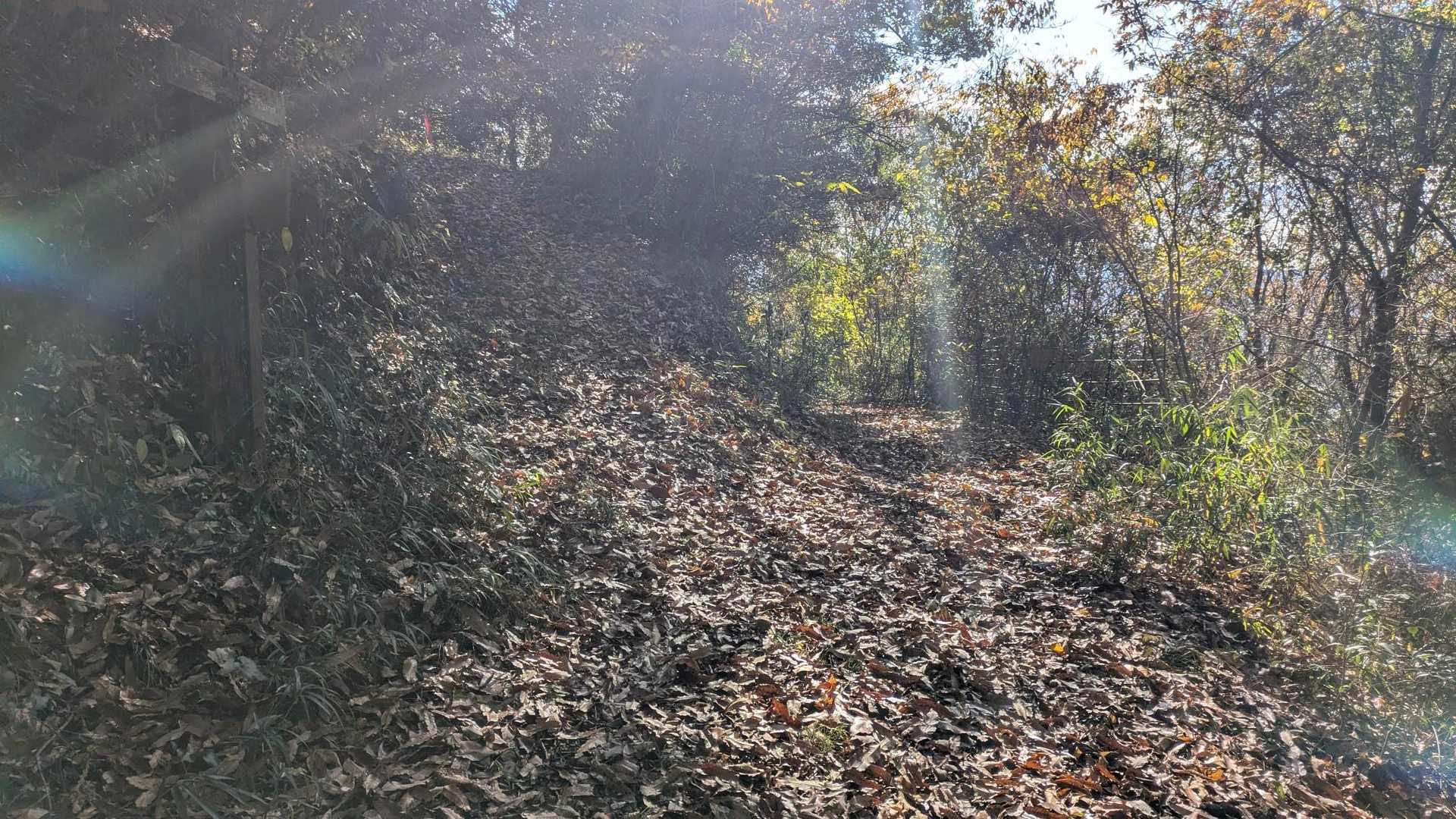 ここは左に上がります
真っ直ぐ下りていくと私有地のミカン山で進入禁止です