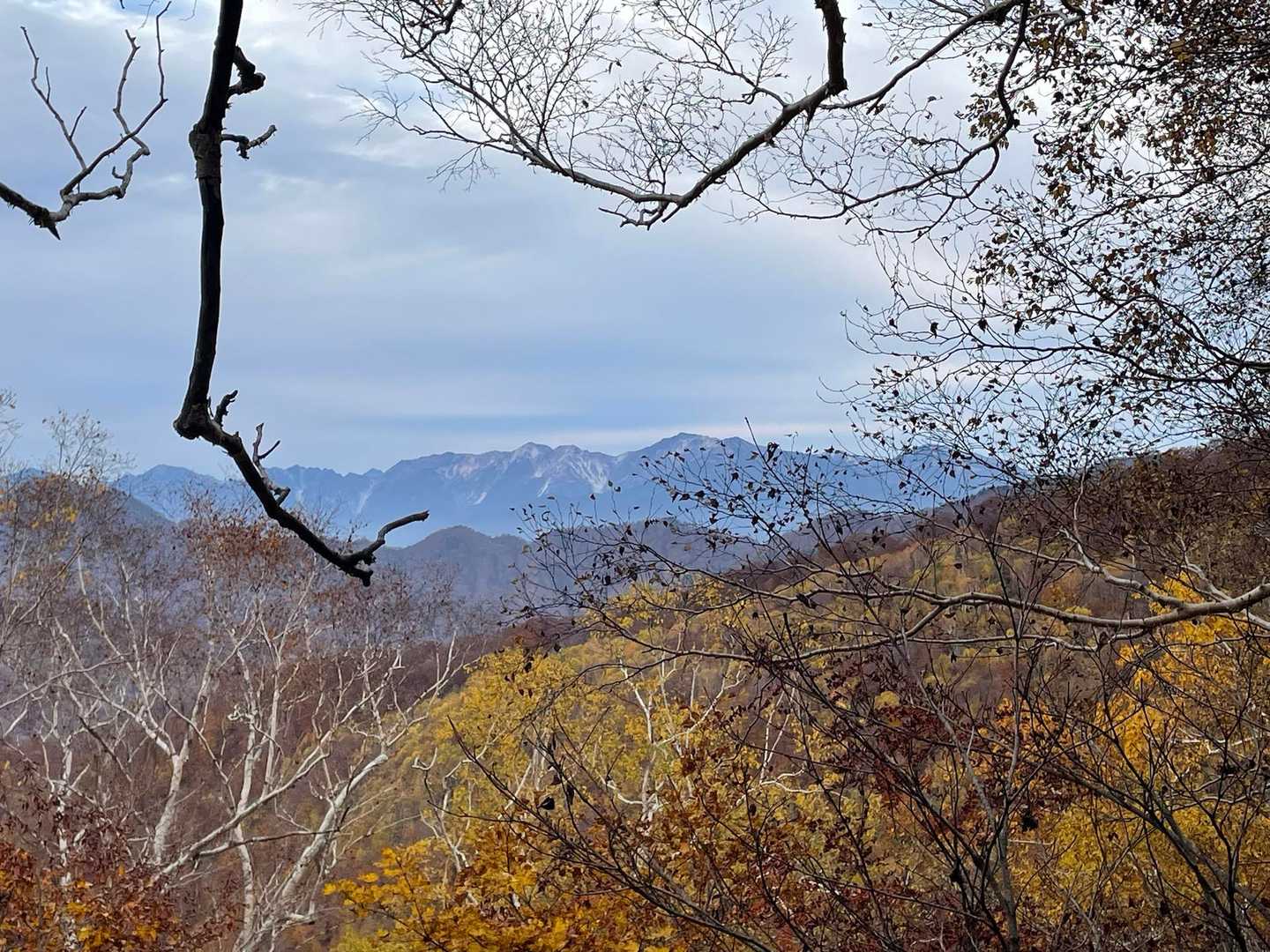 ずっと白馬見ながら登れるなんて素敵🏔️