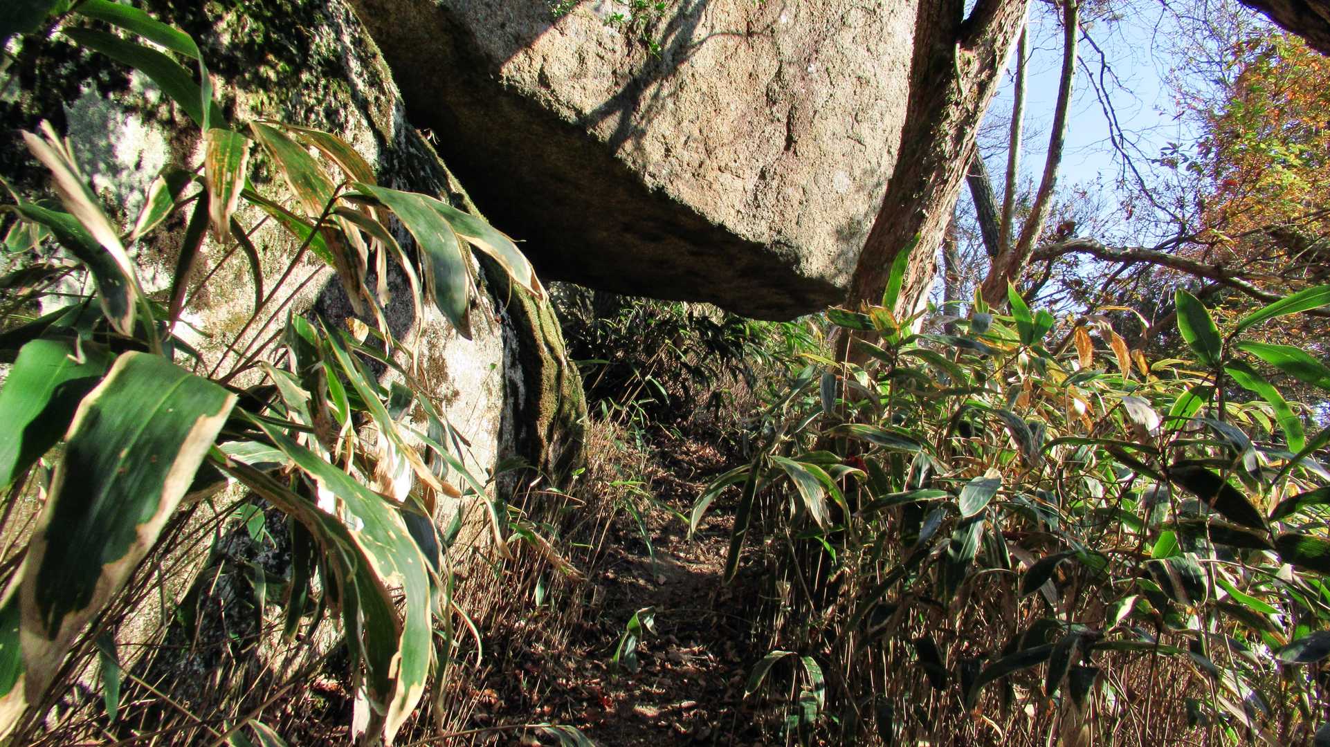 延命岩。くぐると延命祈願になるらしい（ハチがいてくぐれませんでした💦）