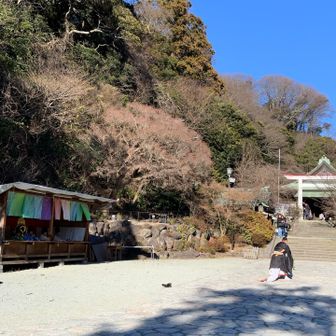 雅楽演奏と、宮司さんの舞をしばし鑑賞しました