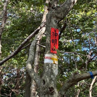 神明山着