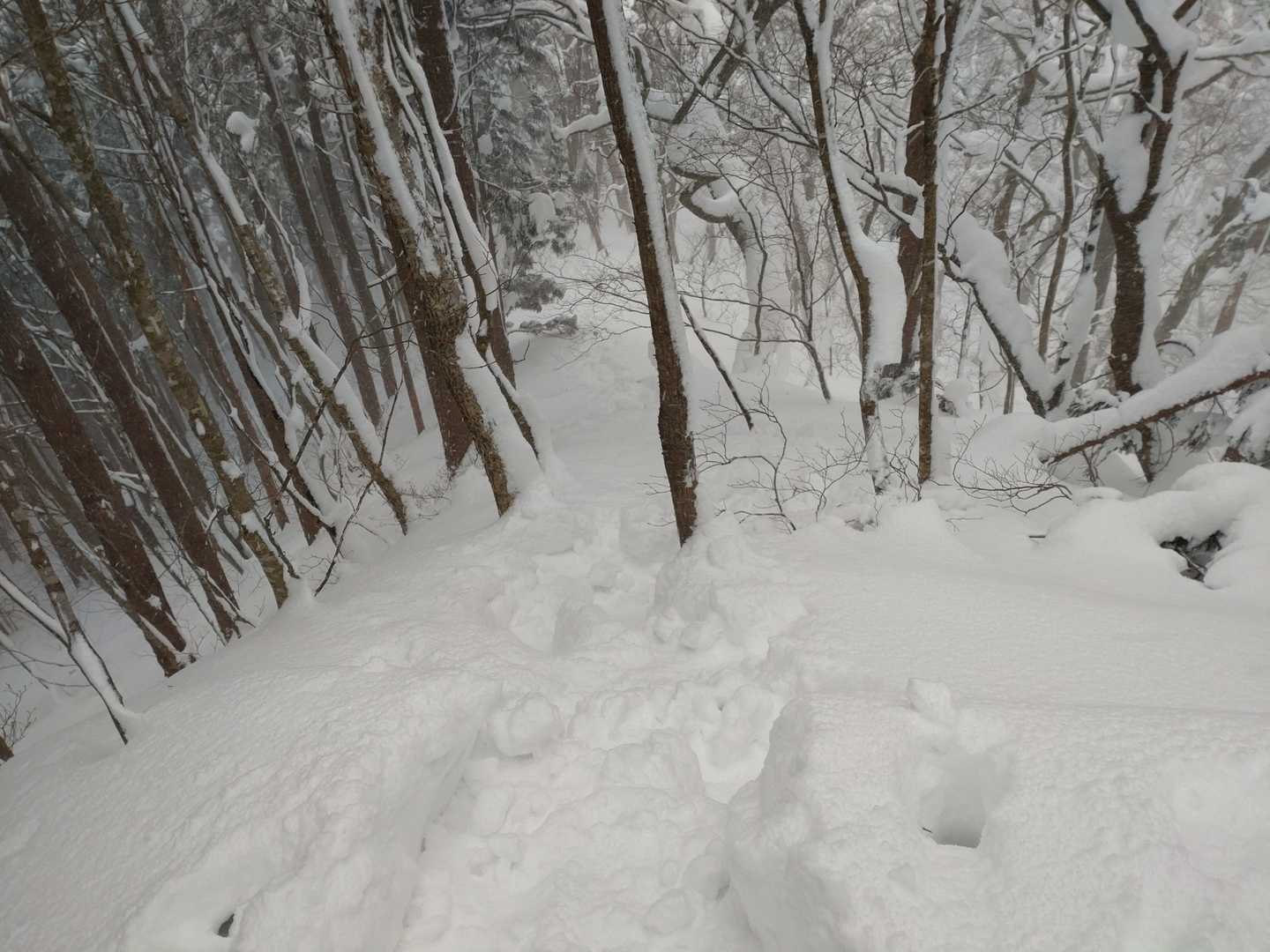 ここは四つん這いで登りました🐻