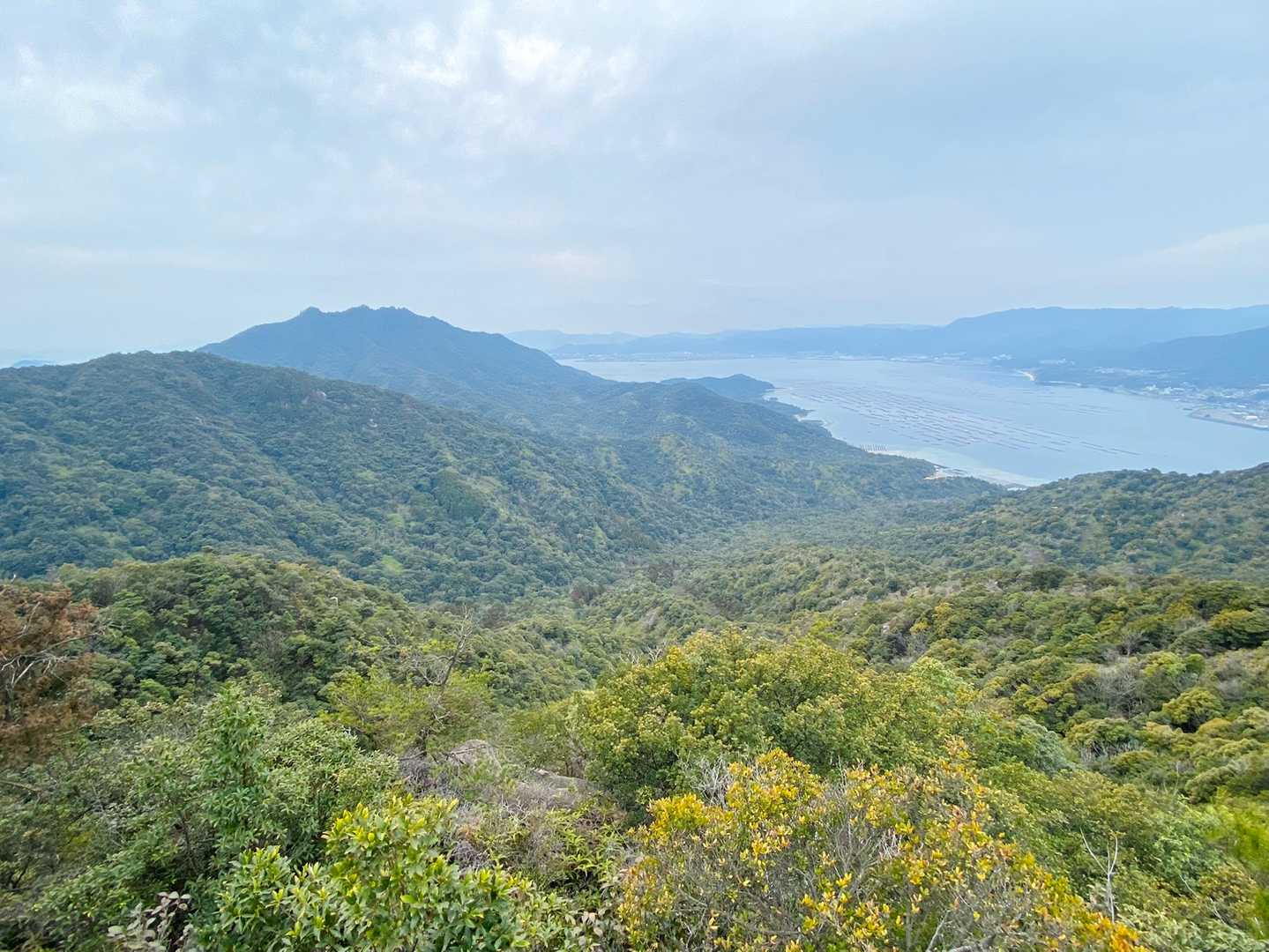 三ツ丸子山が好きだと仰ってた方の気持ちが、とてもよく分かります😍