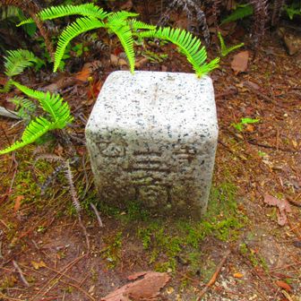 四等三角点
点名：奥山
標高：280.14 m