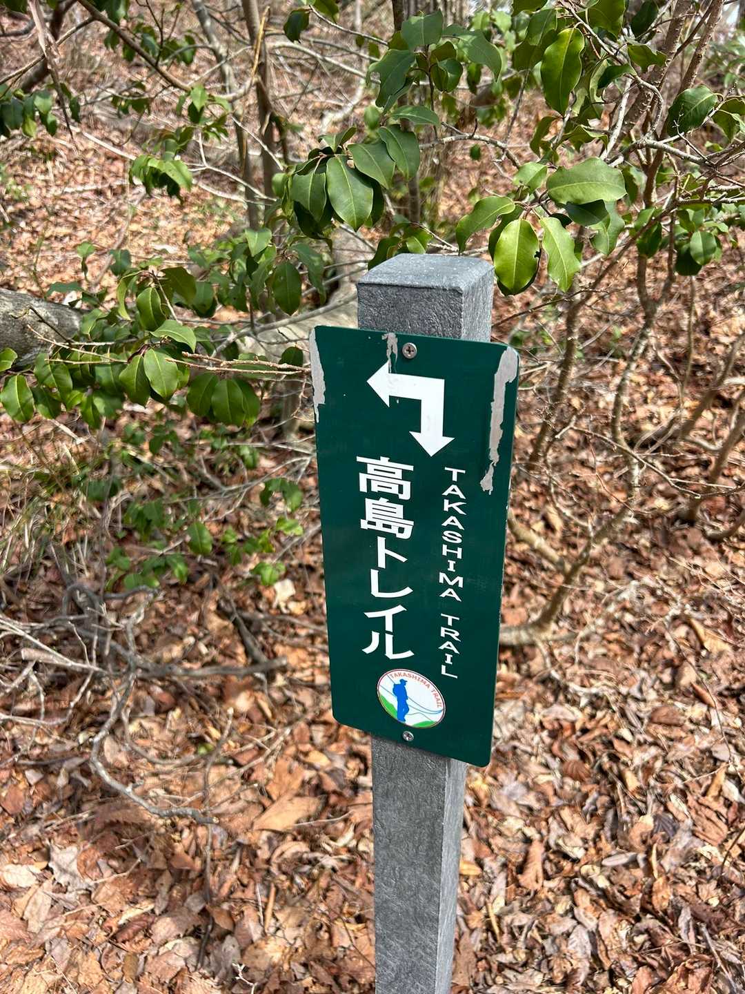 しばし冬にはスキー場のゲレンデになるであろう急登に息を切らせて登り、高島トレイルに合流。