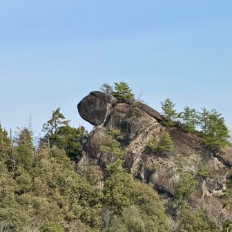 アップダウンが多くて私的には修行🌀
