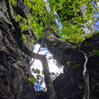 風穴、登山道の反対側から巻いた