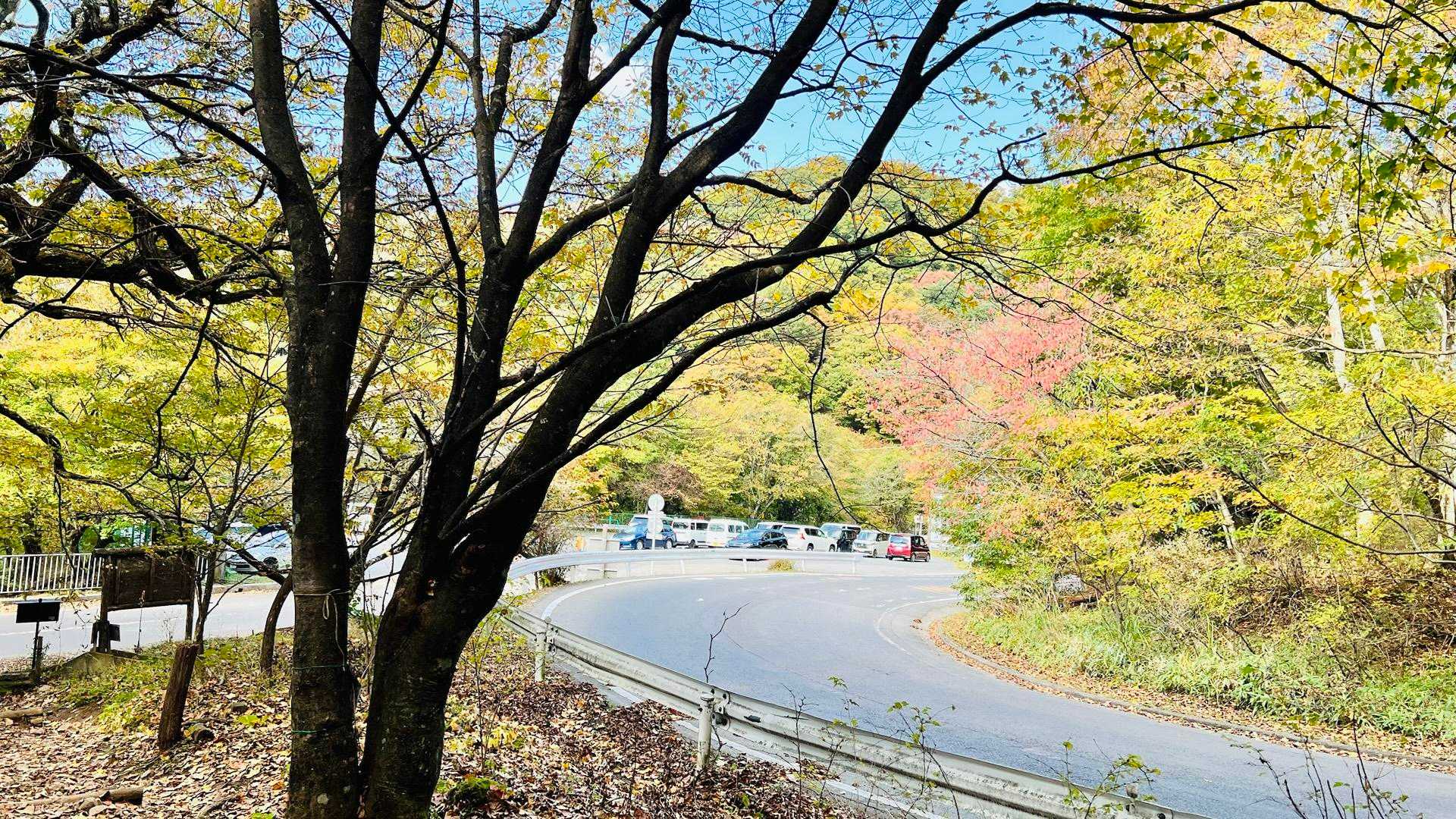 駐車場🅿️が見えました😊
楽しかったなぁ〜❣️