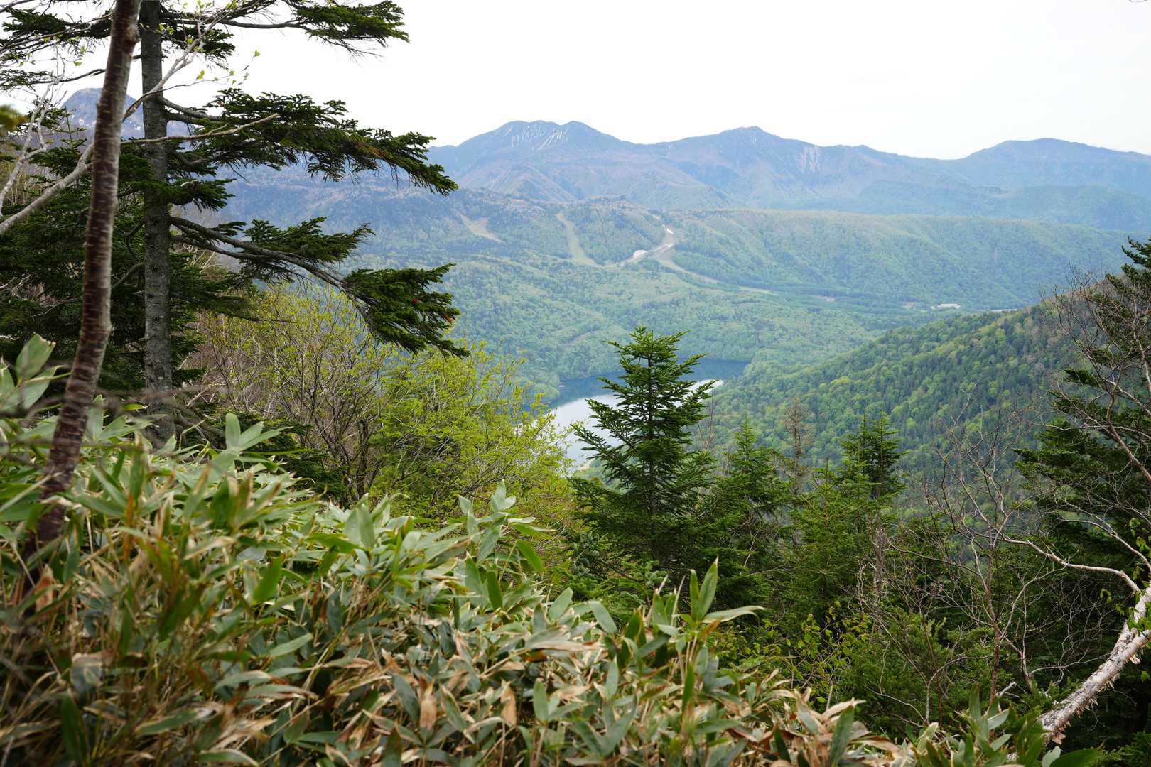 四郎岳・燕巣山登り口-燕巣山-四郎岳 往復コースの写真