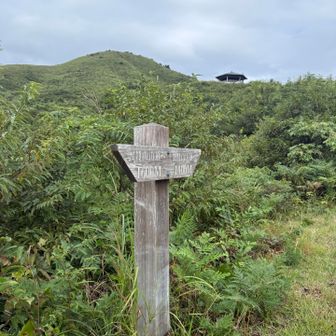 開始地点に戻ってきました