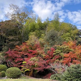 妙相寺境内の紅葉
