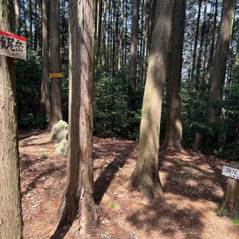 旗尾岳(548m)
眺望なし