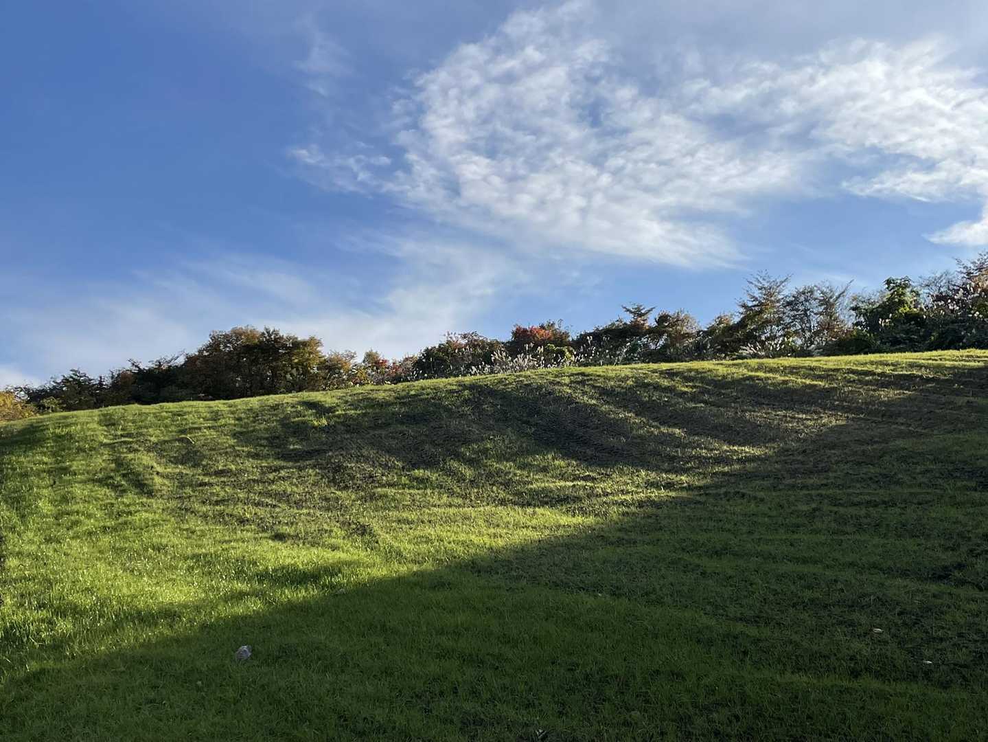 青麻山登山口-あけら山-青麻山 往復コースの写真