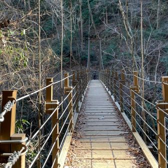 高尾山で唯一の吊り橋