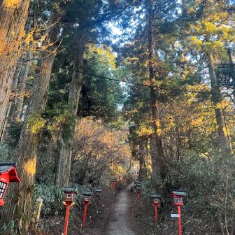 葛木神社へむかいます🐾