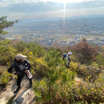 めちゃくちゃ良い