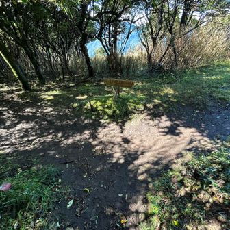 やっと分岐点の尾根に、左の明神ケ岳に向かいます