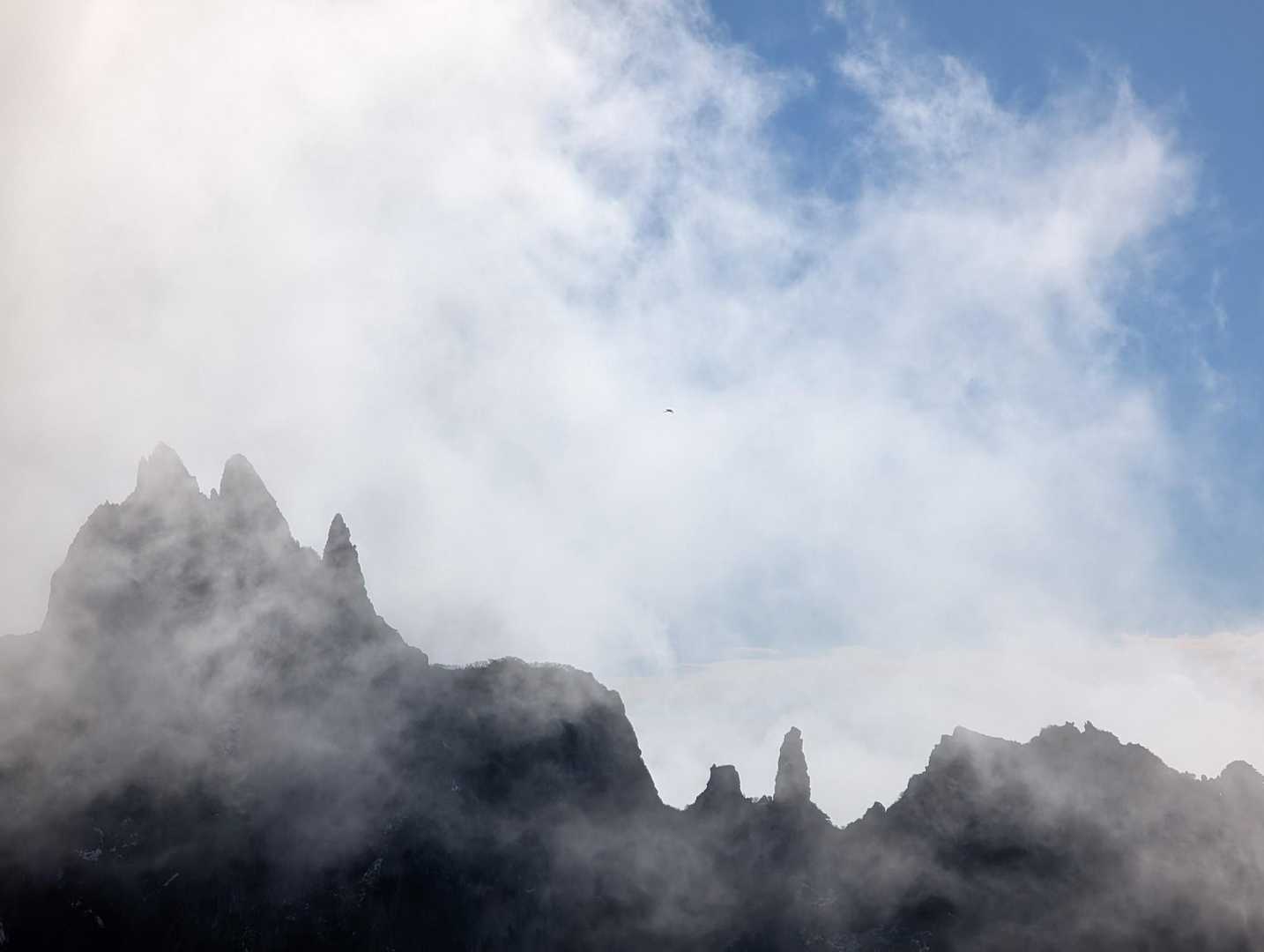 沓形登山口-三眺山-利尻山 往復コースの写真