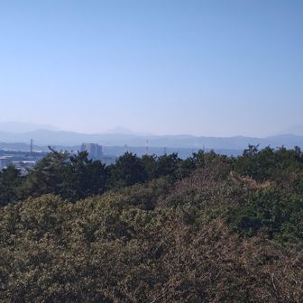 先週歩いた狭山丘陵