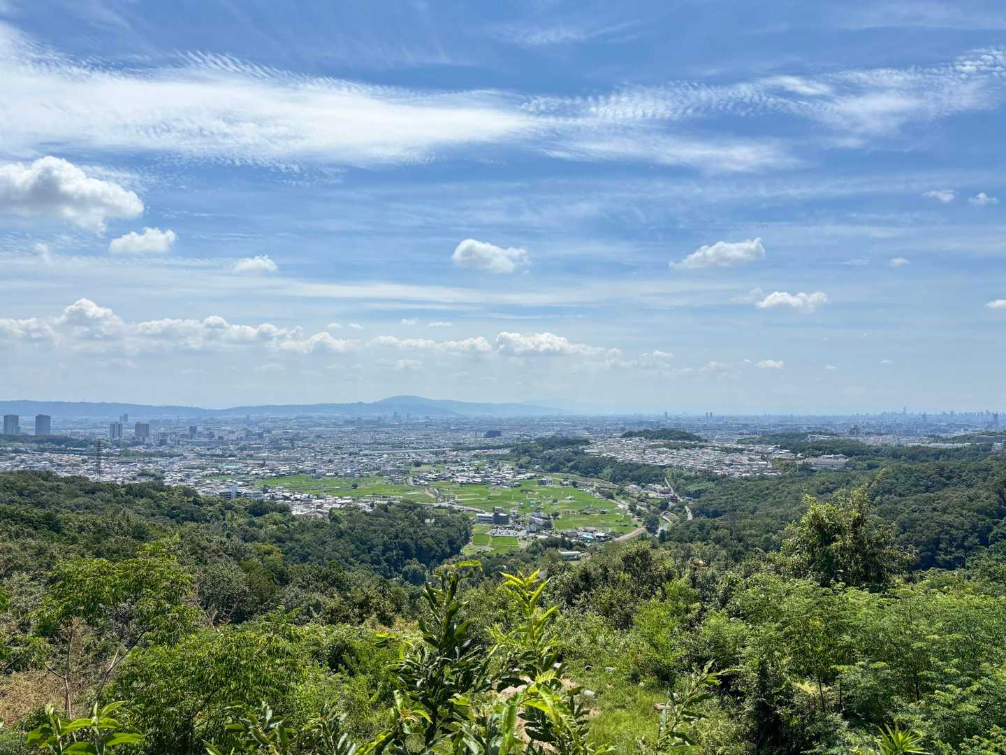 真ん中に見えるのが生駒山らしい🎡