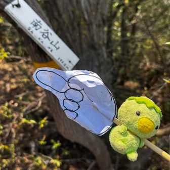 どんどんしわくきゃになる 指さし紙