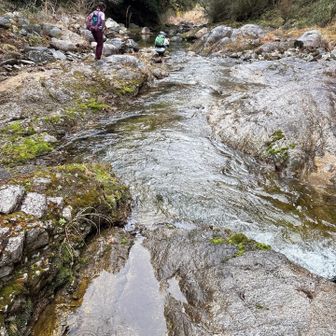 流れは速い…浅瀬を探し更にひょいっと
お次は舗装された林道歩き‼︎