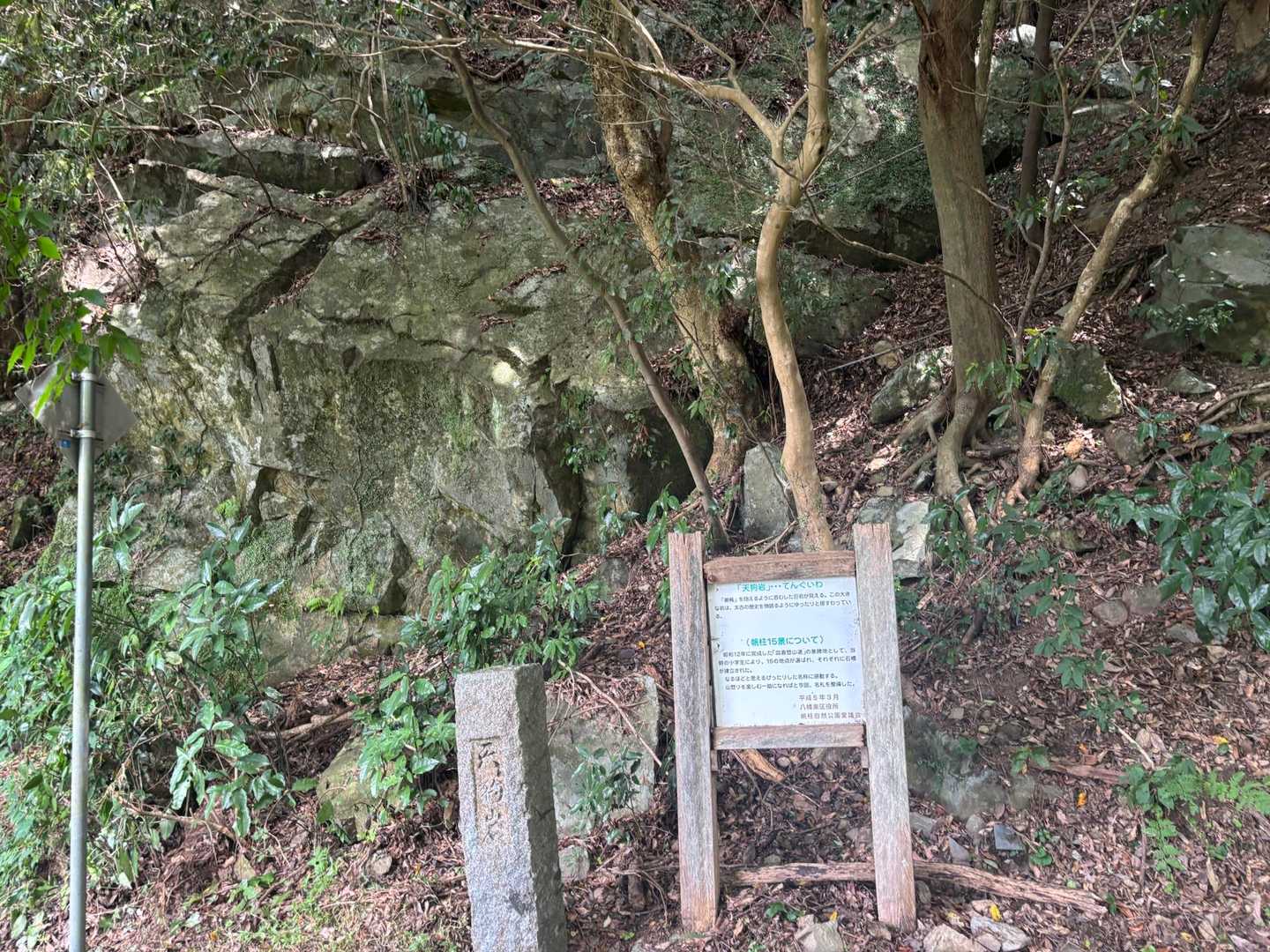 権現山-市の瀬峠 周回コースの写真