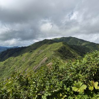 富士見峠から金山方面