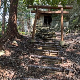 神社⛩️まで降りました