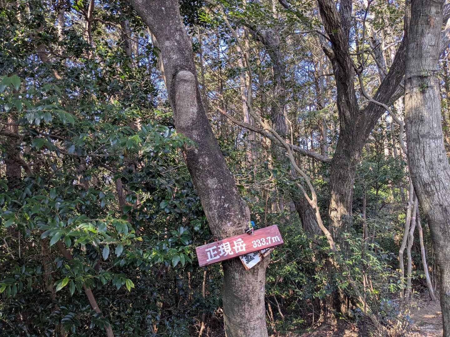 正現岳到着