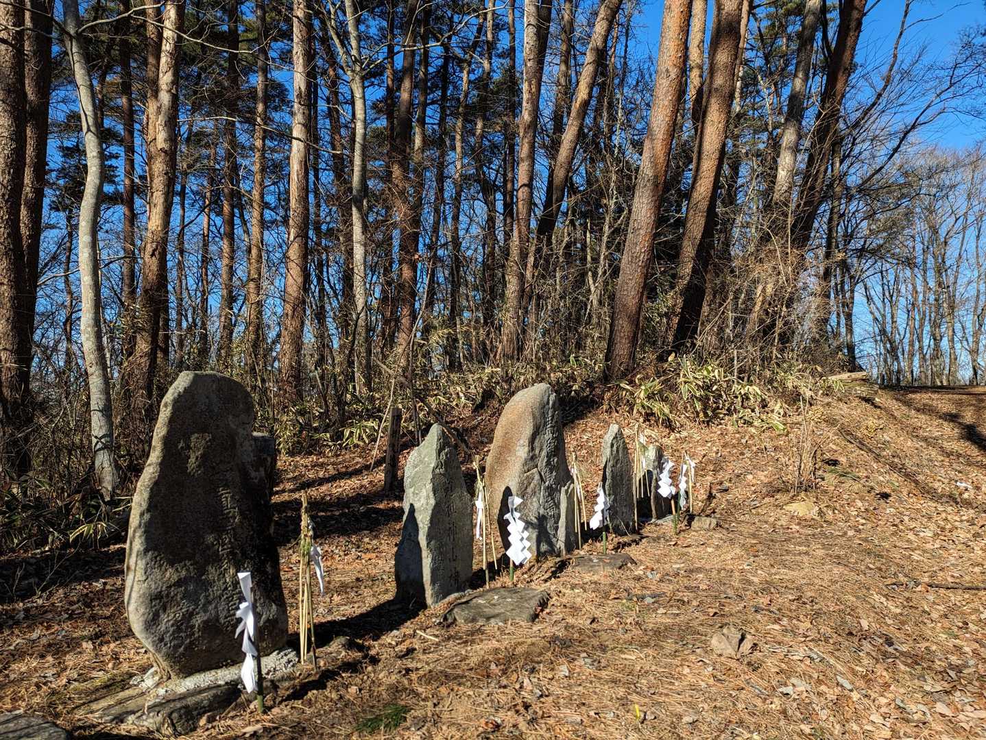 観音様山神様…🙏