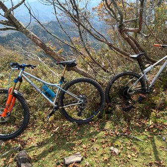 chitoさんは16apmNEWBIKEです