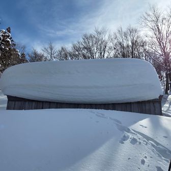 今日の夕飯ははんぺんにしよう