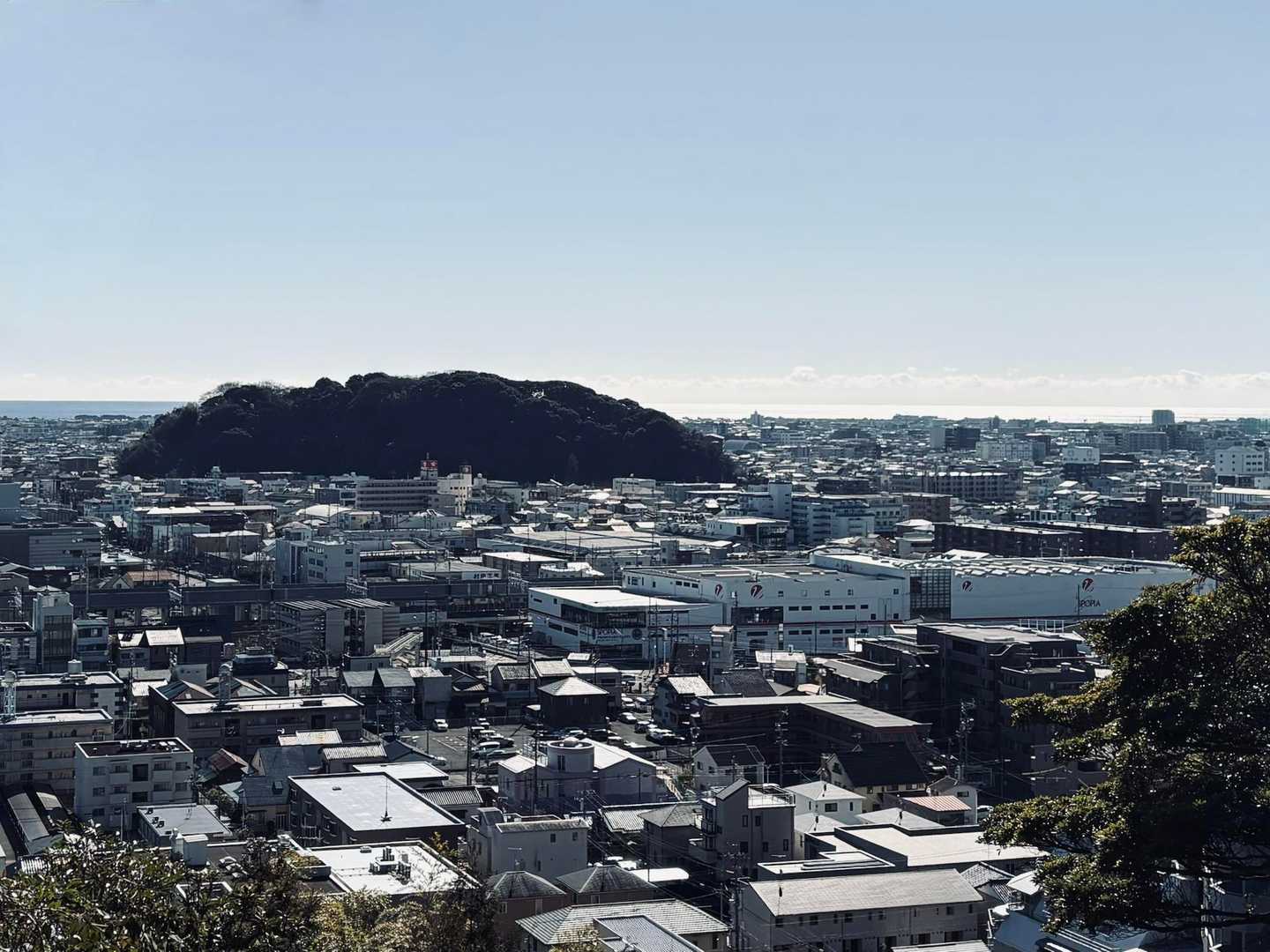 さっきいたとこ