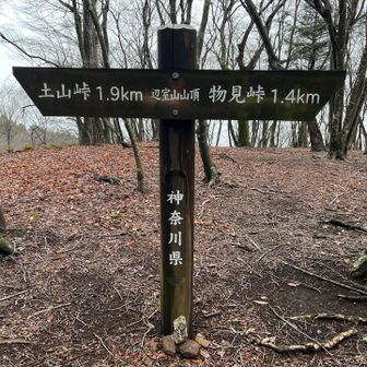 辺室山のベンチで休憩