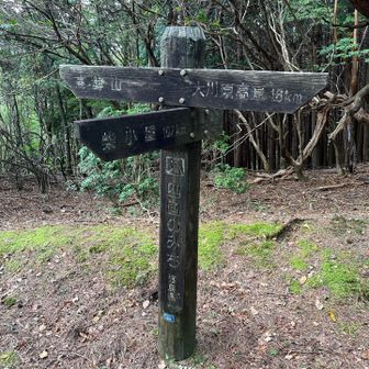 高鉾山方面に移動。この柴小屋の矢印の方向が微妙に感じました・・・