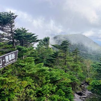 計画では雨池経由にしてましたが、日が暮れそうなのでピストンで麦草峠に戻ります
あの茶臼山を登り直すのか...🥺