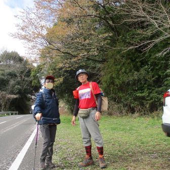 峠の駐車場の山桜がほぼ散っていた
