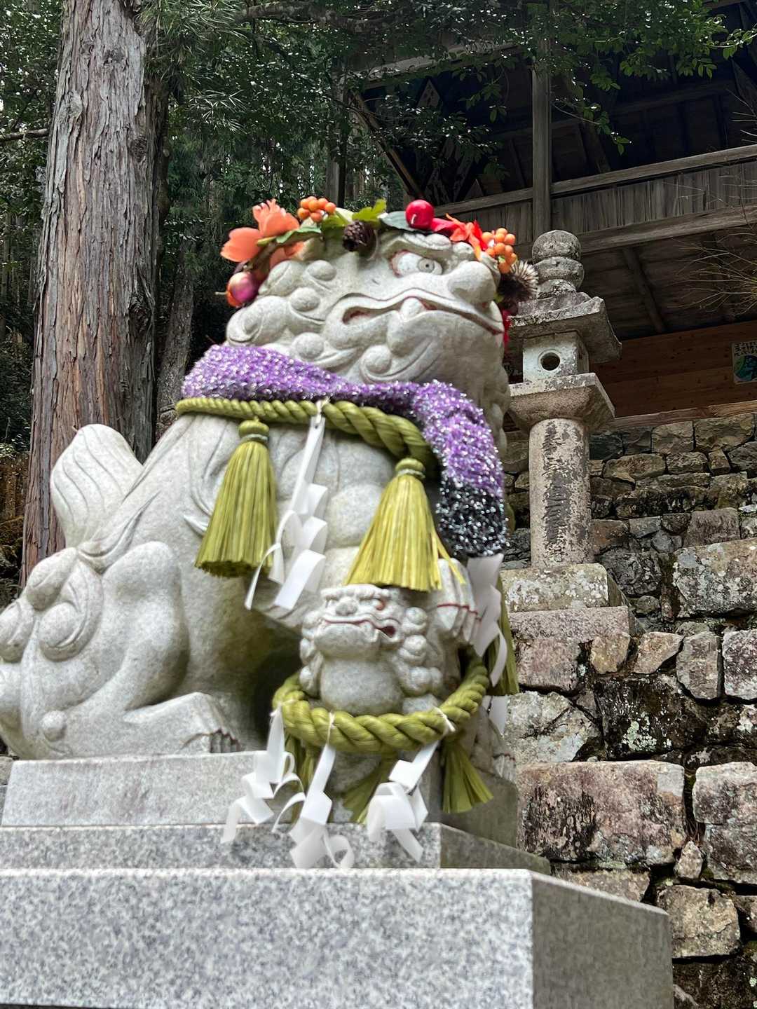 田井登山口-宮山-五十波登山口-田井南バス停-田井公民館前 周回コースの写真