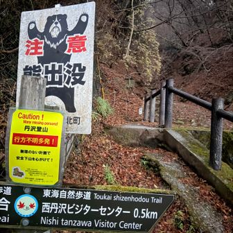 熊注意！今回は熊スプレー持参です
