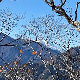 少し降りて来ても、ずっと隠れていたい😶‍🌫️富士子🗻さん