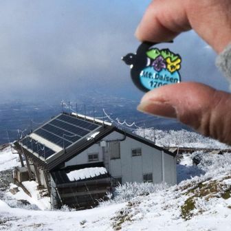 代わりに久々　アマツバメ飛ばし