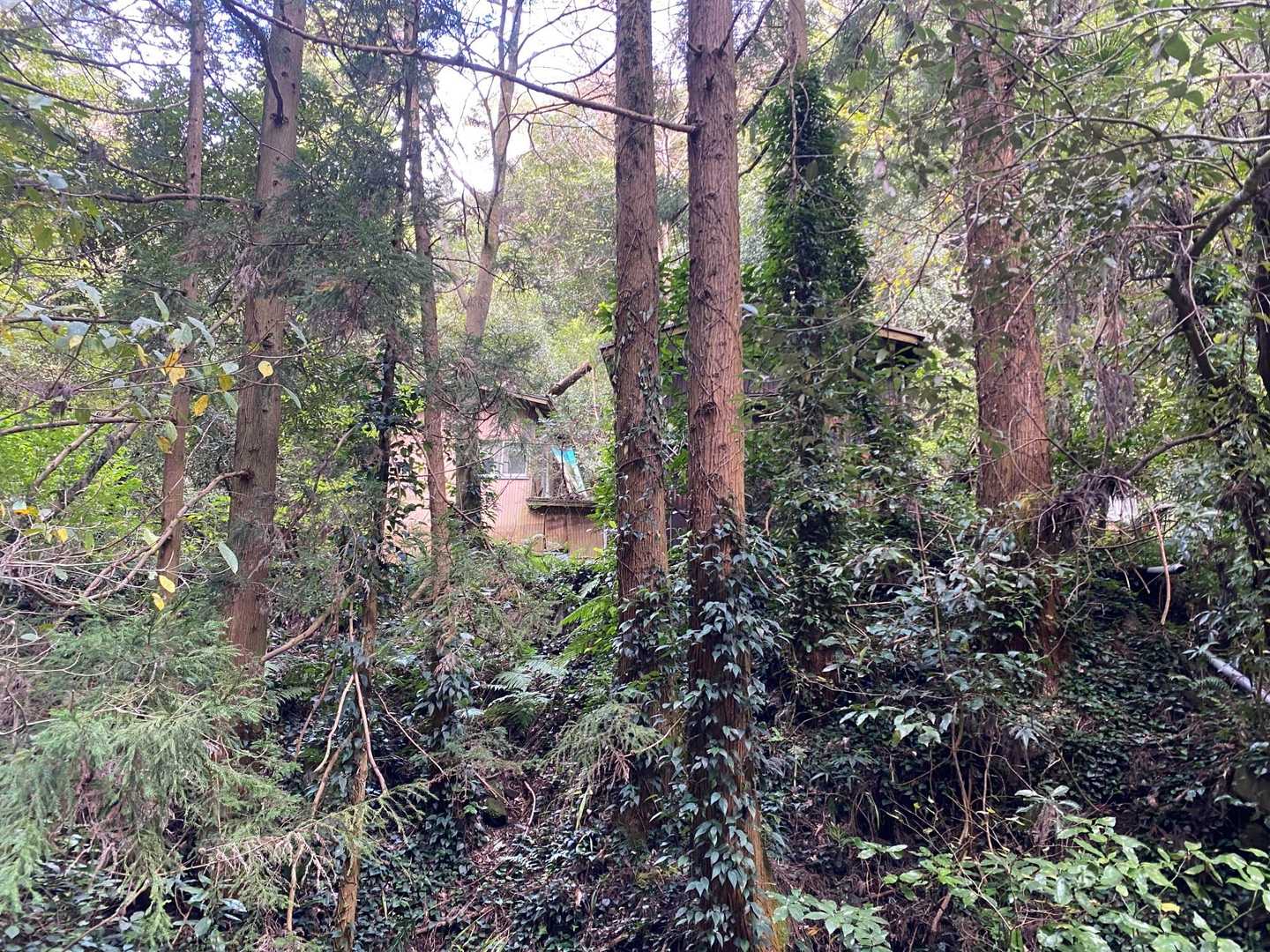 翌日仮眠してから富山。
伏姫ルートの道中。
あれ？廃屋とかあったんだね・・と今更ながら気づく。