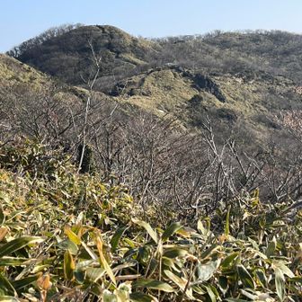 大神岩からさらにズンズン登ると、
那岐山が見えてきました