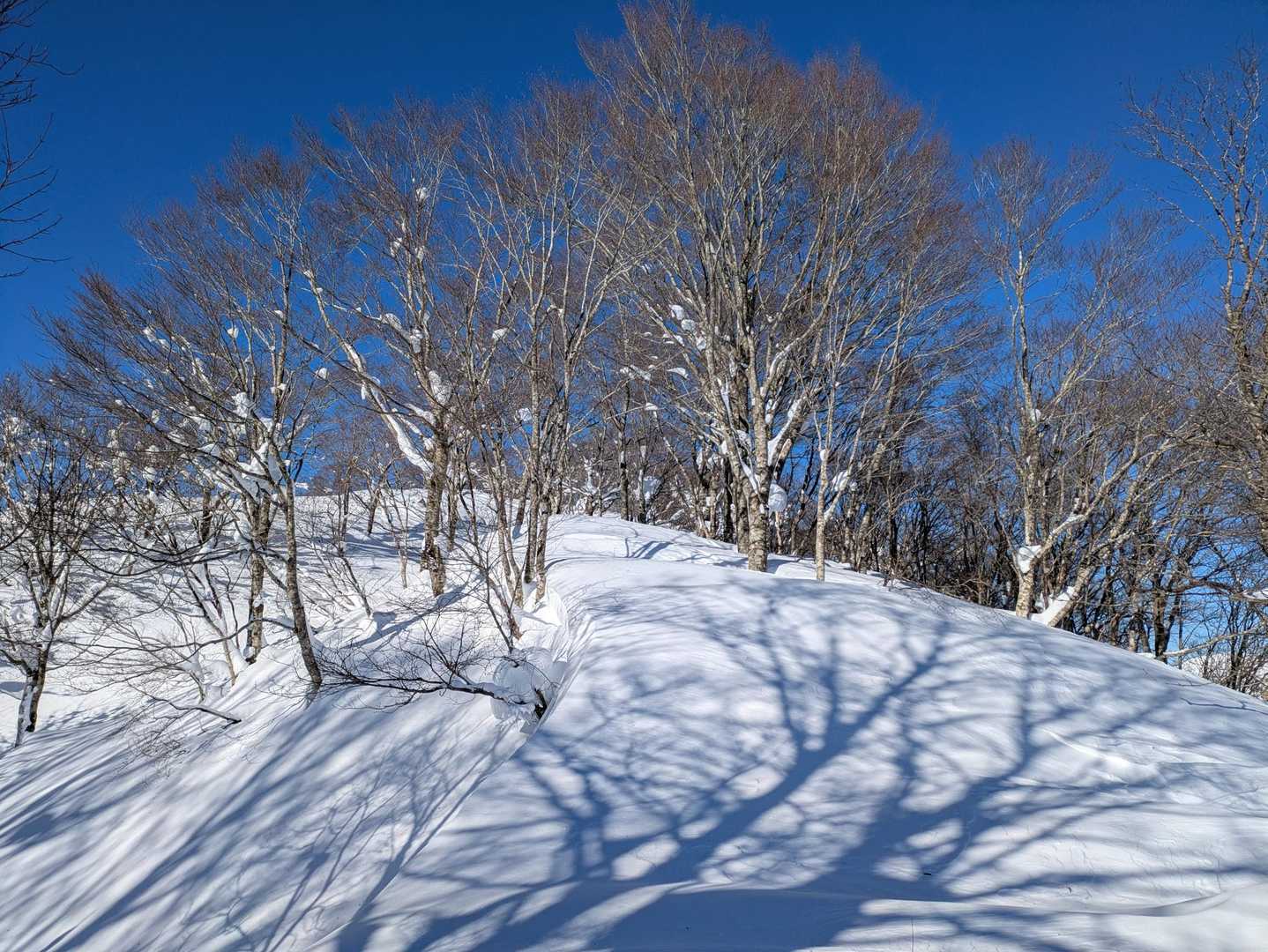ラストもうちょい💪
10時までには山頂着きそう😊