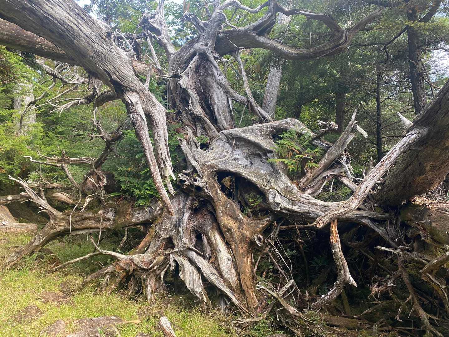 白髪山登山口-白髪山 周回コースの写真