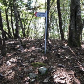泣坂ノ頭の山頂の様子。
道標はあるけど、山頂標識を発見できず。。